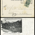 G. Pascoli ad A. Caselli, febbraio 1904, dove si fa riferimento alla prima di "Madama Butterfly alla Scala" di Milano il 17 febbraio 1904 G. Pascoli ad A. Caselli, febbraio 1904, dove si fa riferimento alla prima di "Madama Butterfly alla Scala" di Milano il 17 febbraio 1904