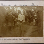 Ramatura della vite Ramatura della vite