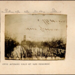 Il giardino di casa Pascoli in una visione invernale, con sullo sfondo la chiesa di San Niccolò Il giardino di casa Pascoli in una visione invernale, con sullo sfondo la chiesa di San Niccolò